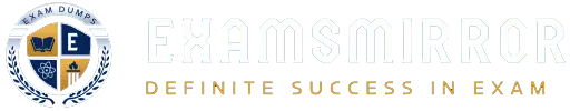 ExamsMirror Logo